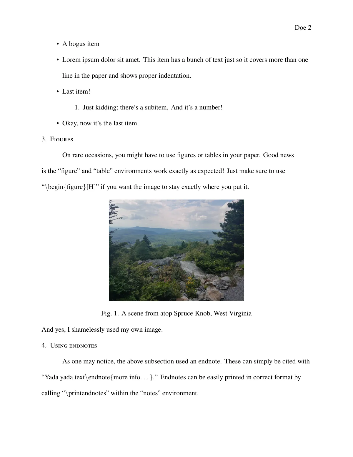 MLA format essay LaTeX template, page 2 of 5