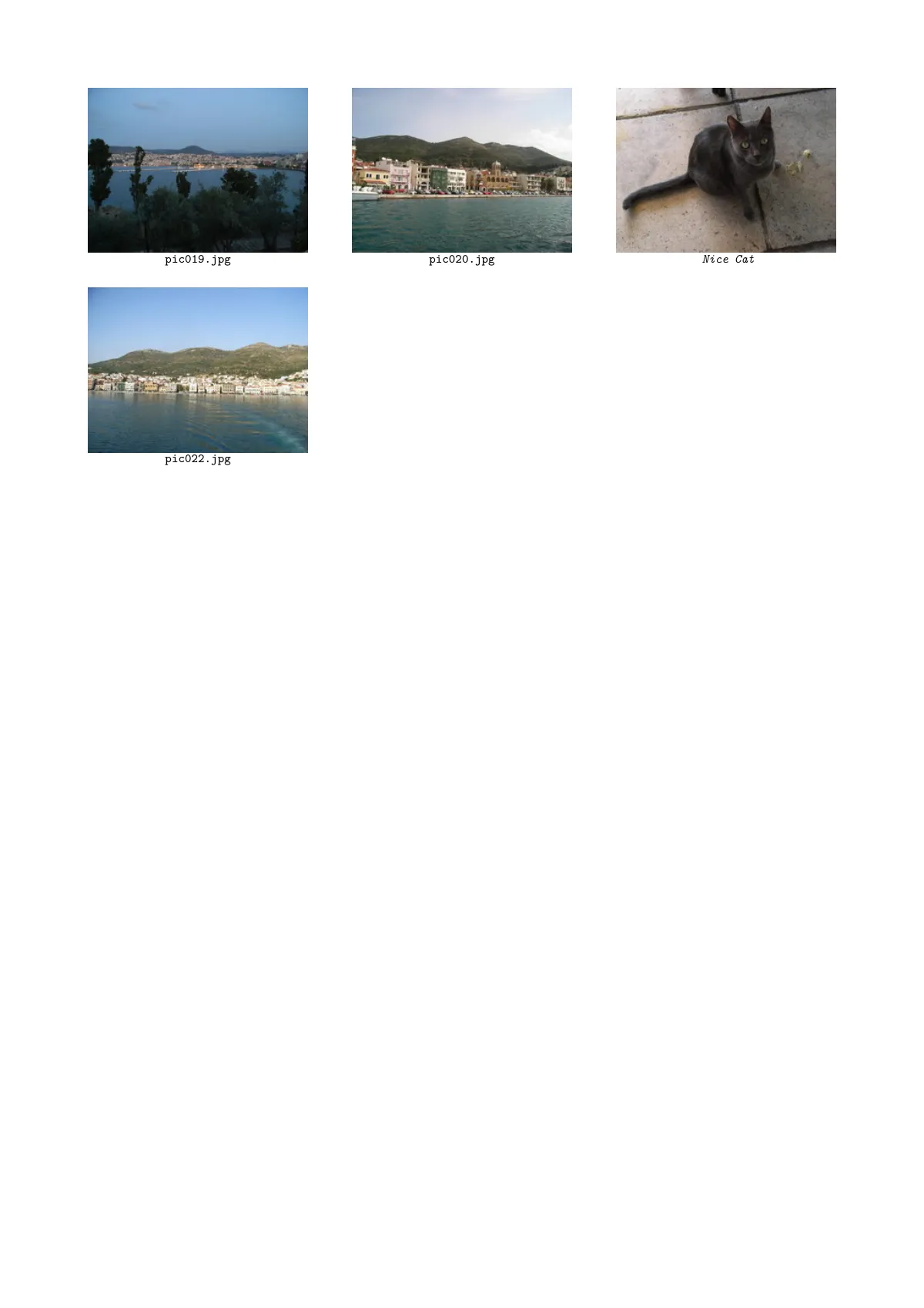 Plantilla de LaTeX Photo gallery with captions, página 2 de 3