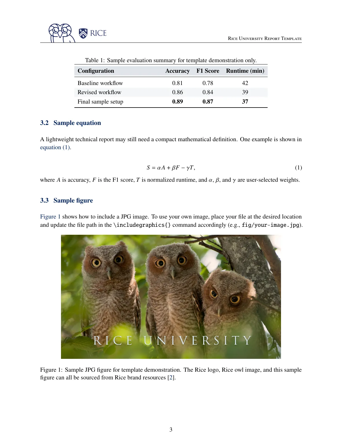 Rice University course report with cover page LaTeX template, page 4 of 7
