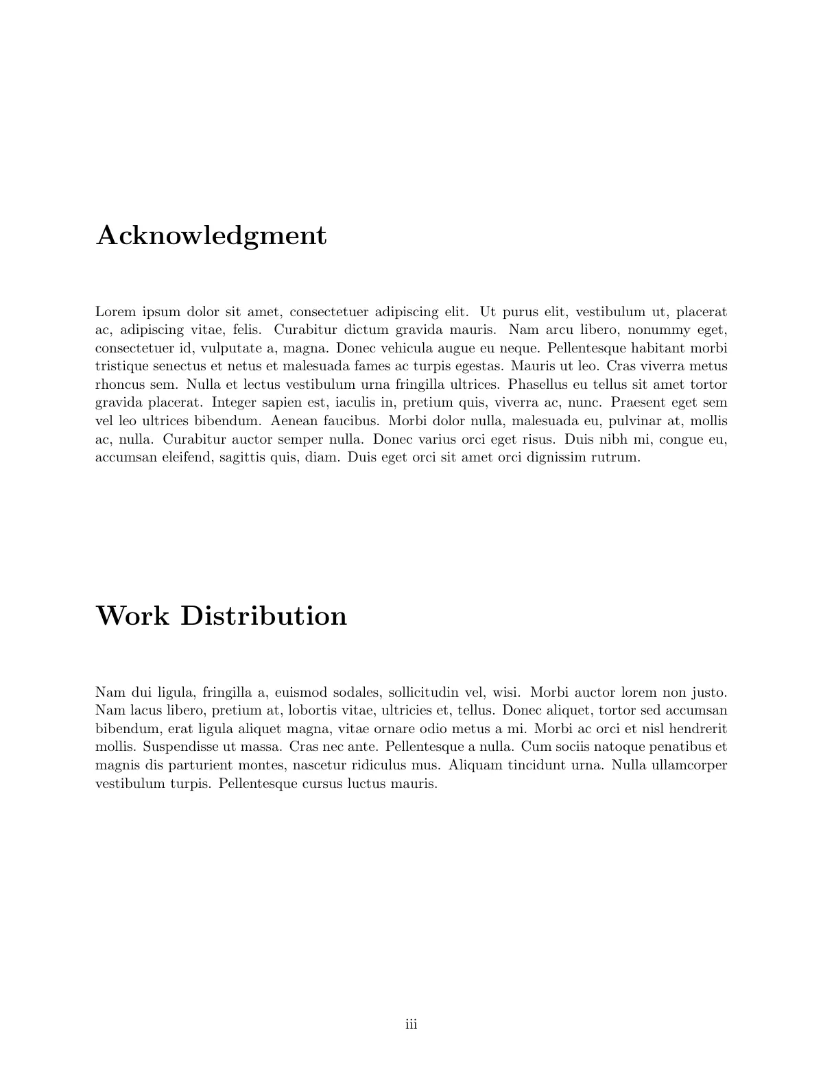 IIIT Delhi B.Tech project (BTP) report LaTeX template, page 4 of 11
