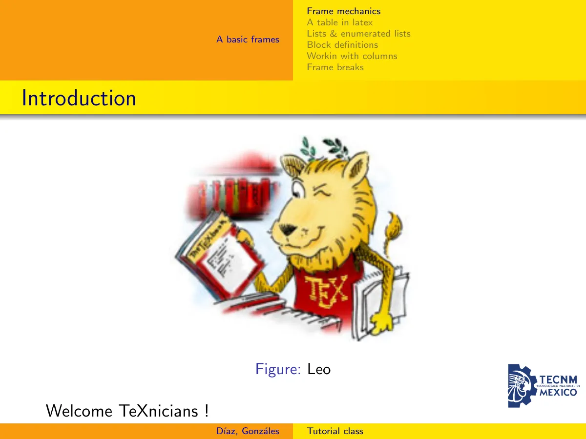 Beamer presentation course LaTeX template, page 3 of 11