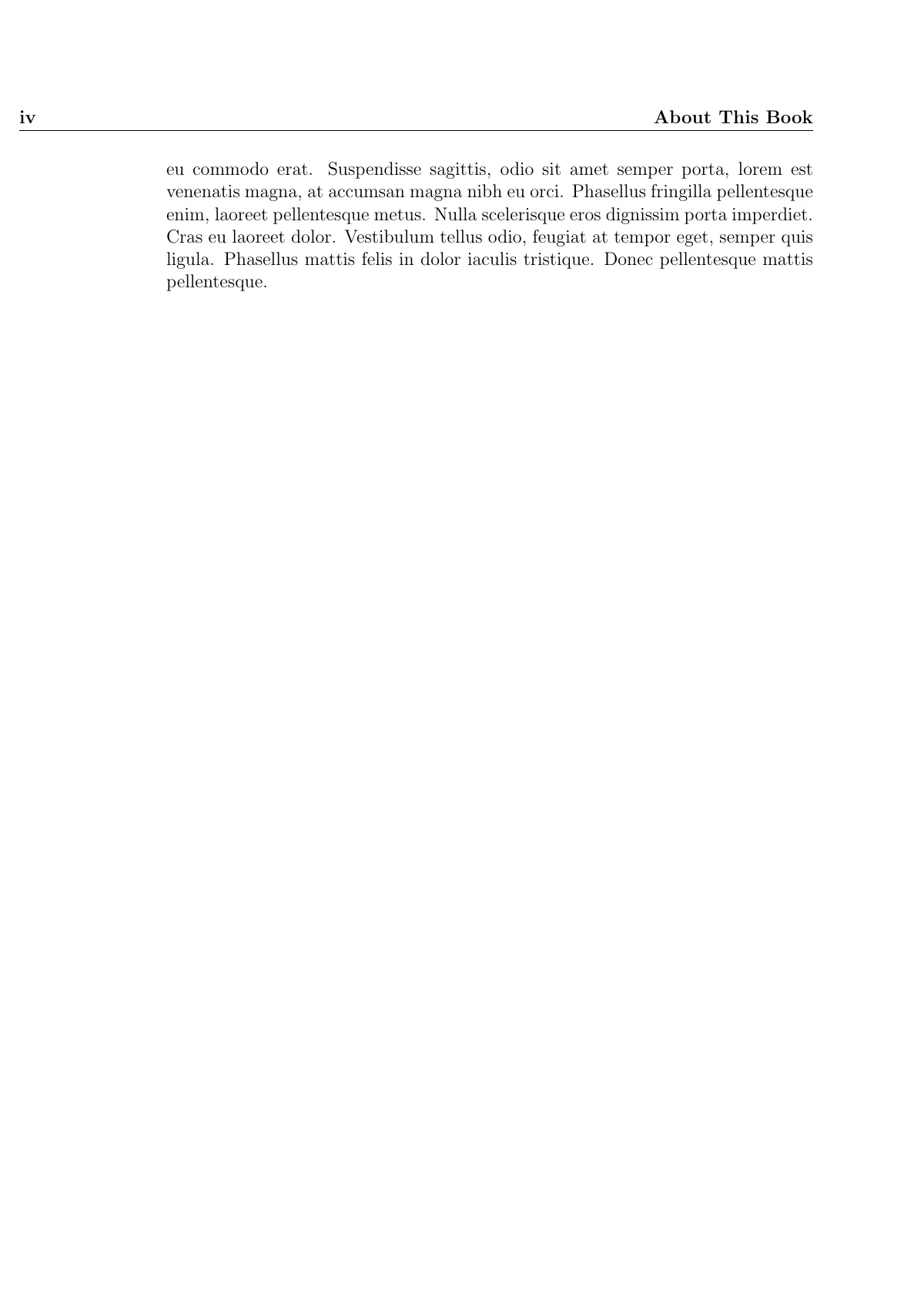Book with dedication, about the author and chapters LaTeX template, page 4 of 13