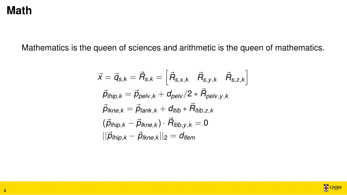 UNSW Beamer theme LaTeX template, page 4 of 6