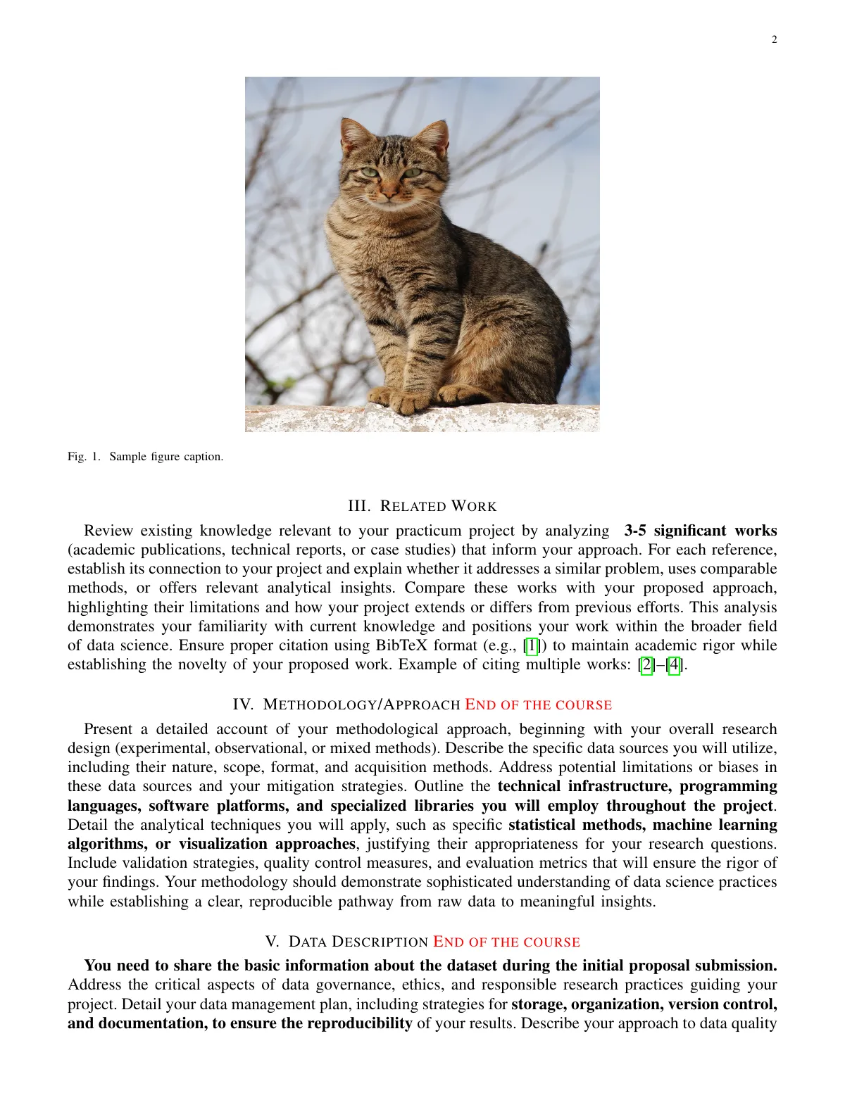 LaTeX-Vorlage Data-Science-Praktikumsvorschlag, IEEE-Format, Seite 2 von 4