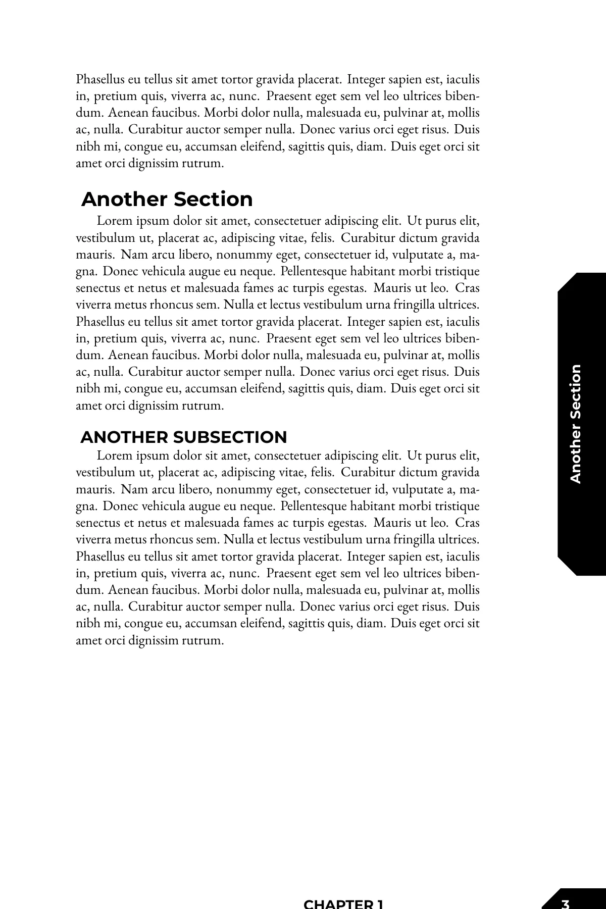 Fate Core tabletop RPG document LaTeX template, page 3 of 4