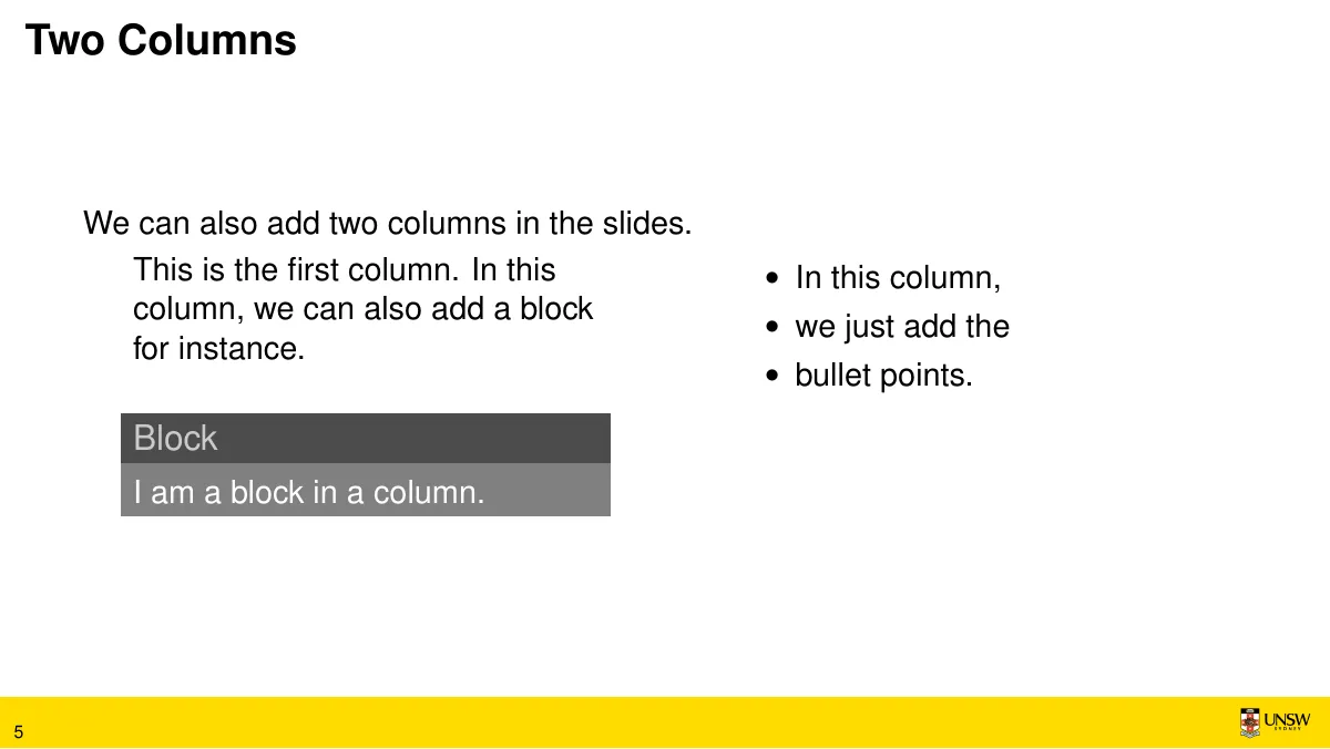 UNSW Beamer theme LaTeX template, page 5 of 6